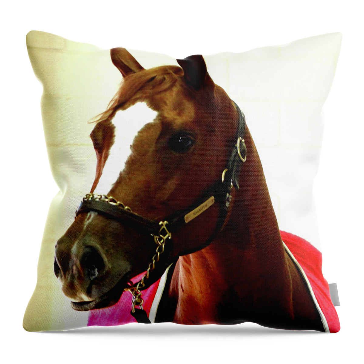 Thoroughbred Race Horse Throw Pillow featuring the photograph 'Marigo in Red' by PJQandFriends Photography