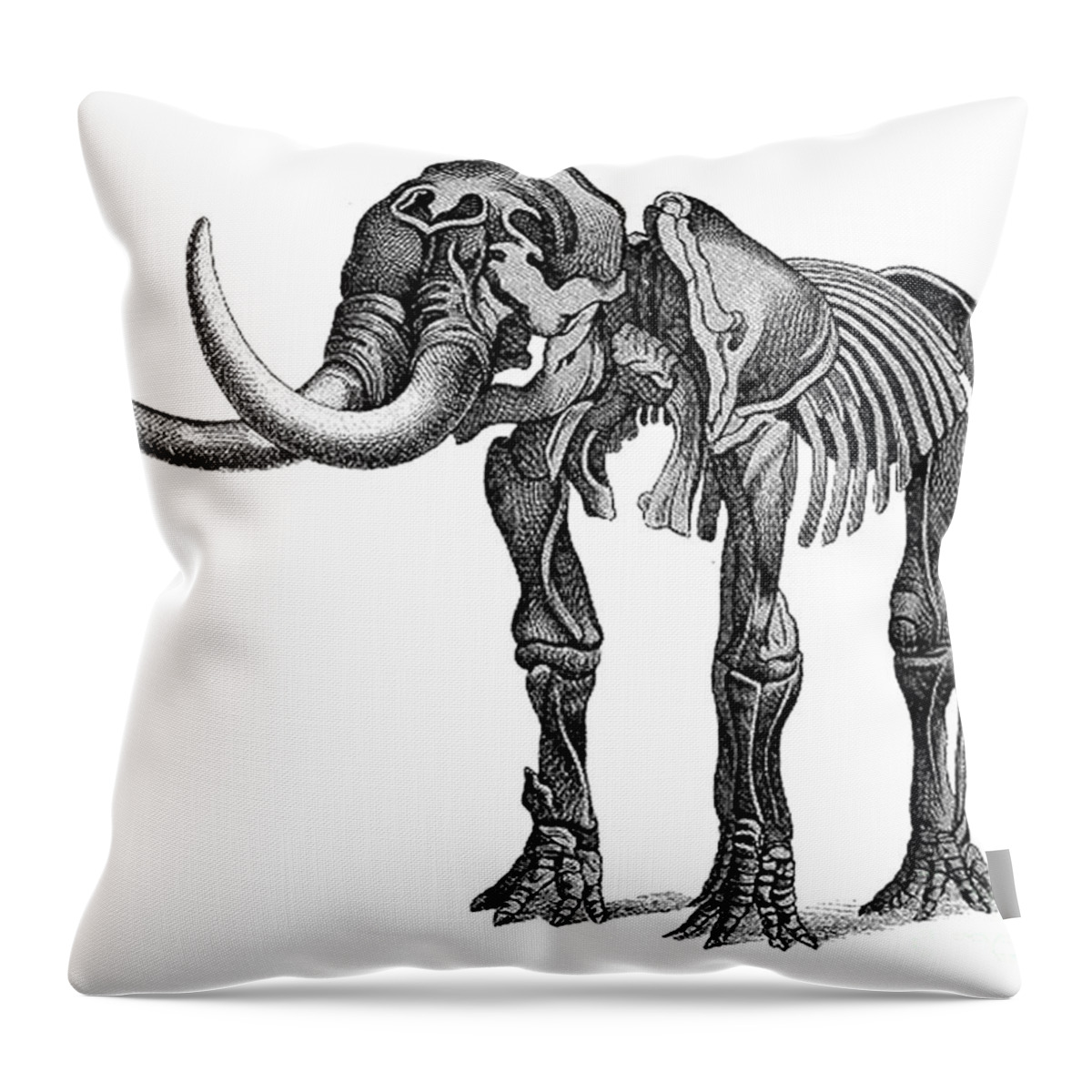 Prehistory Throw Pillow featuring the photograph Mastodon, Cenozoic Mammal by Science Source
