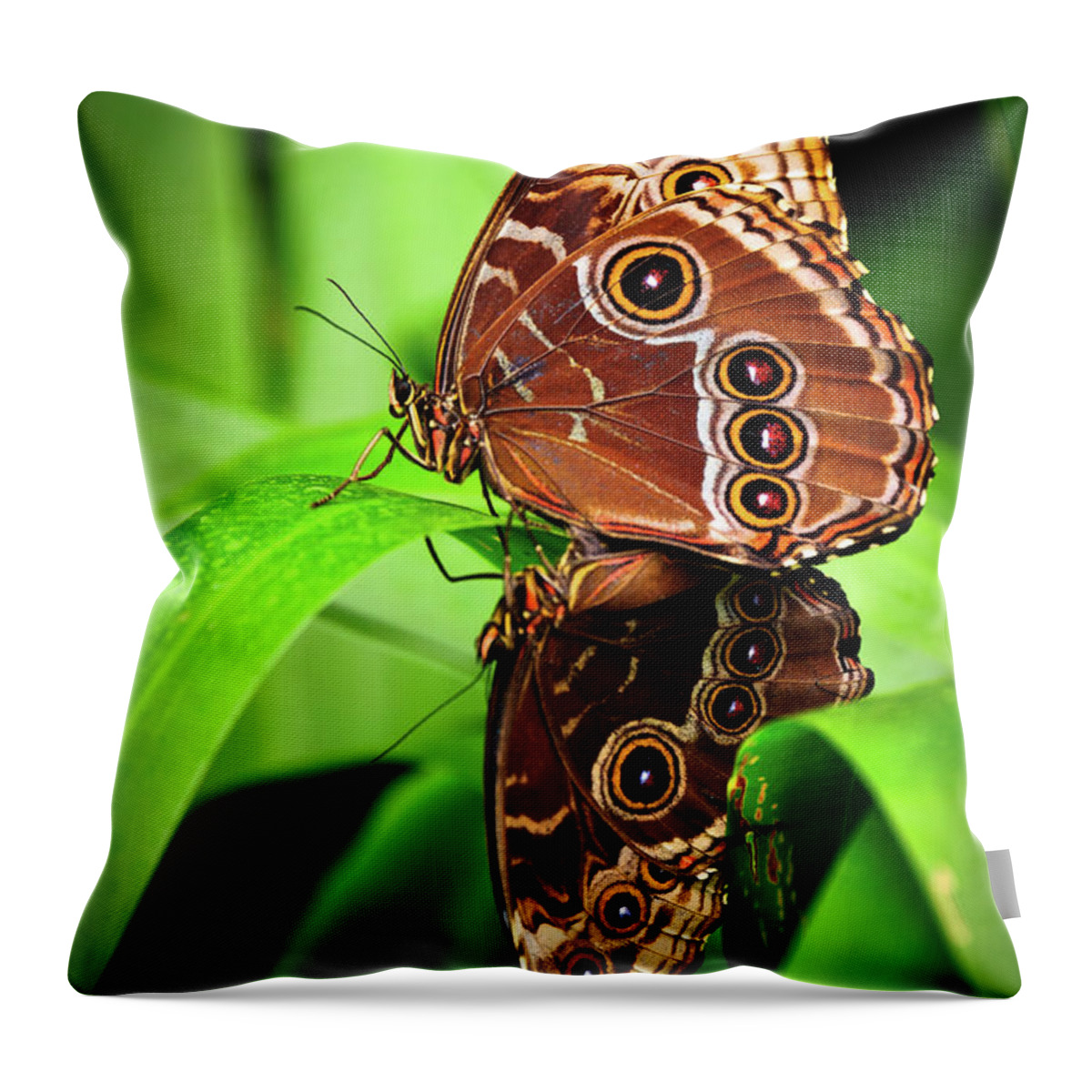 Butterfly Throw Pillow featuring the photograph Mating Butterflies by Harry Spitz