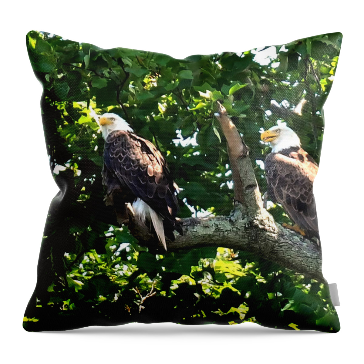 Eagles Mating Throw Pillow featuring the photograph Mating Pair by Randall Branham