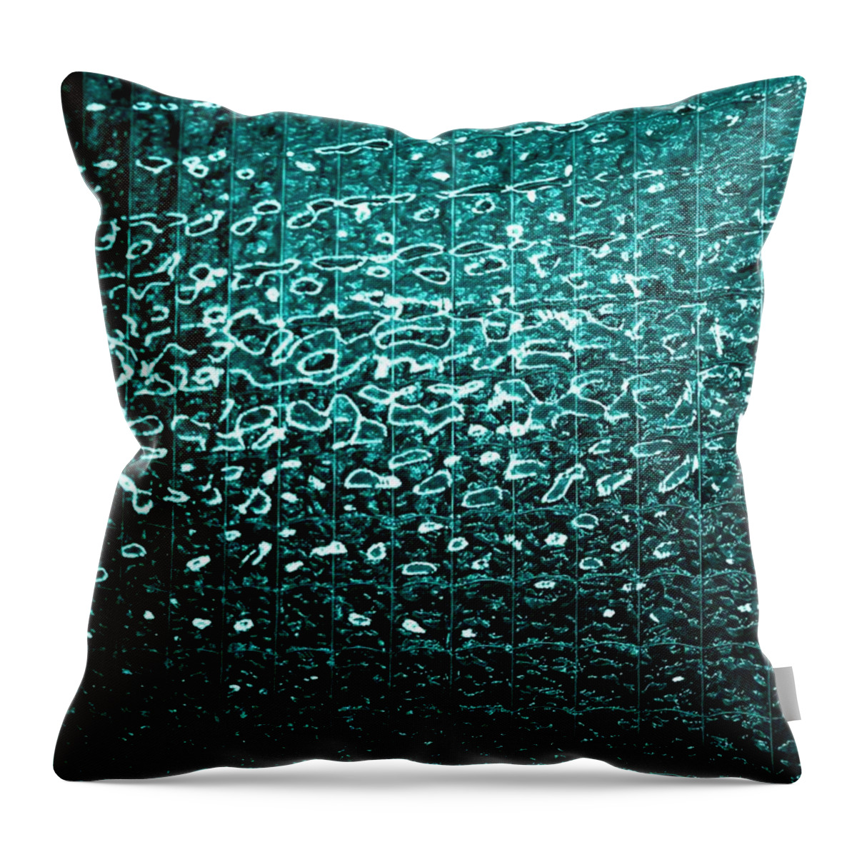 The Matrix Throw Pillow featuring the photograph Matrix by Leigh Meredith
