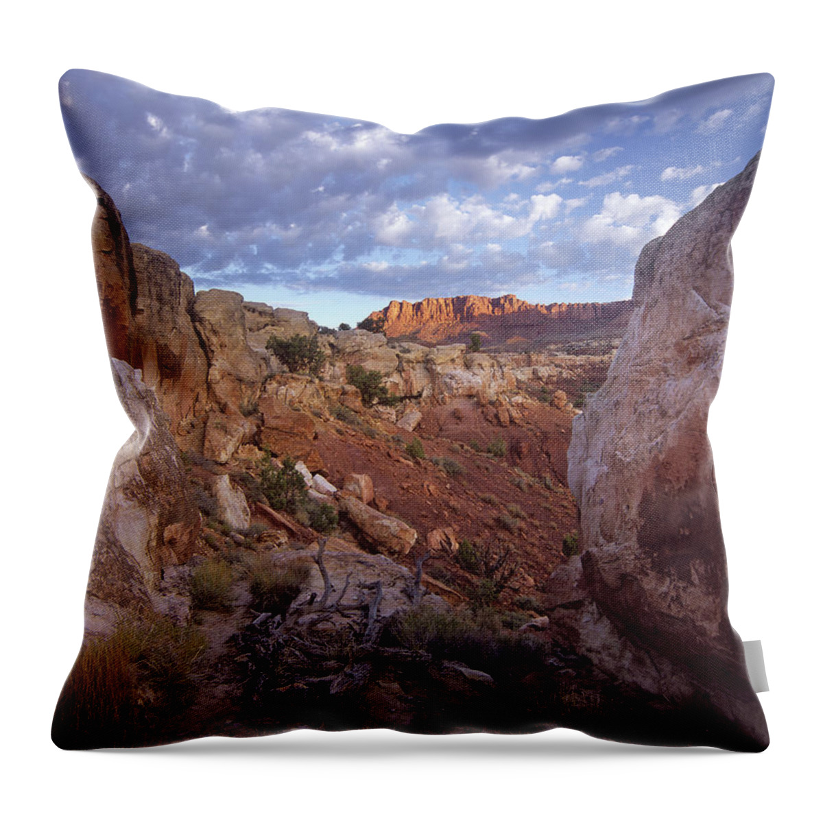 00177097 Throw Pillow featuring the photograph Meeks Mesa Capitol Reef National Park by Tim Fitzharris
