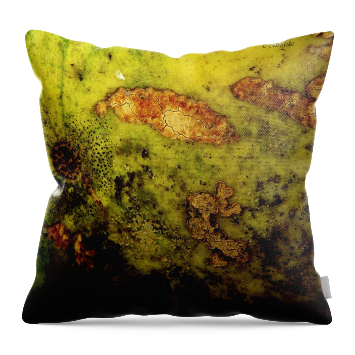 Melon Throw Pillow featuring the photograph Melon Rind by Chris Berry