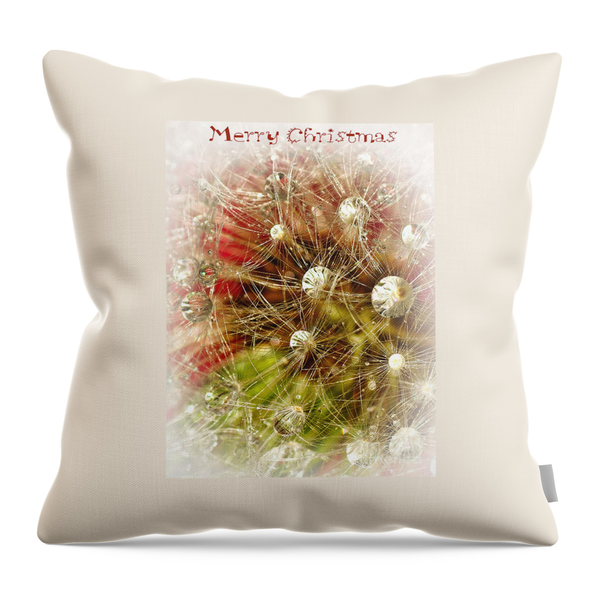 Photography Throw Pillow featuring the photograph Merry Christmas by Kaye Menner