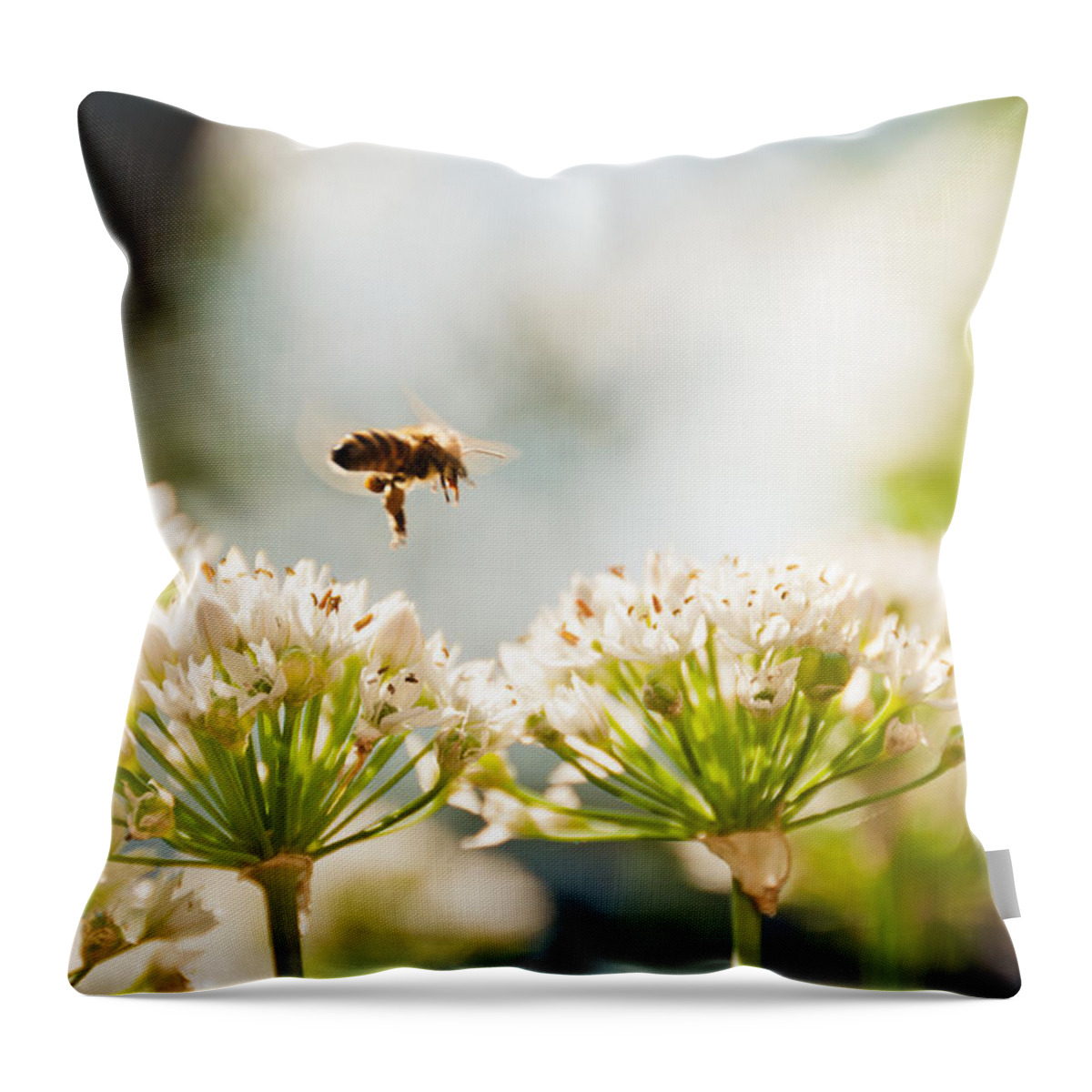 Bee Throw Pillow featuring the photograph Mid-Pollenation by Cheryl Baxter