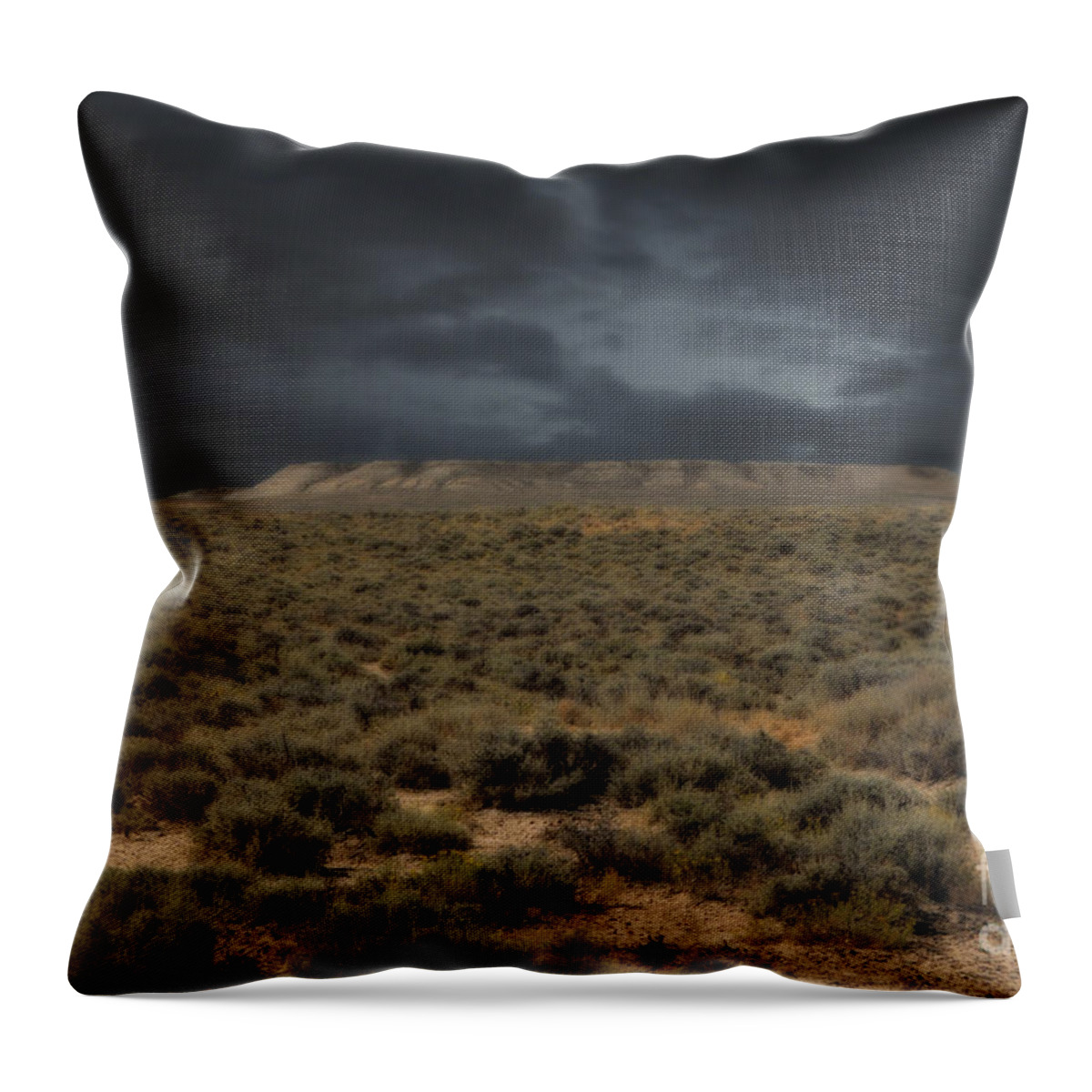  Throw Pillow featuring the photograph Midnight on the Pairie in Wyoming by Donna Greene