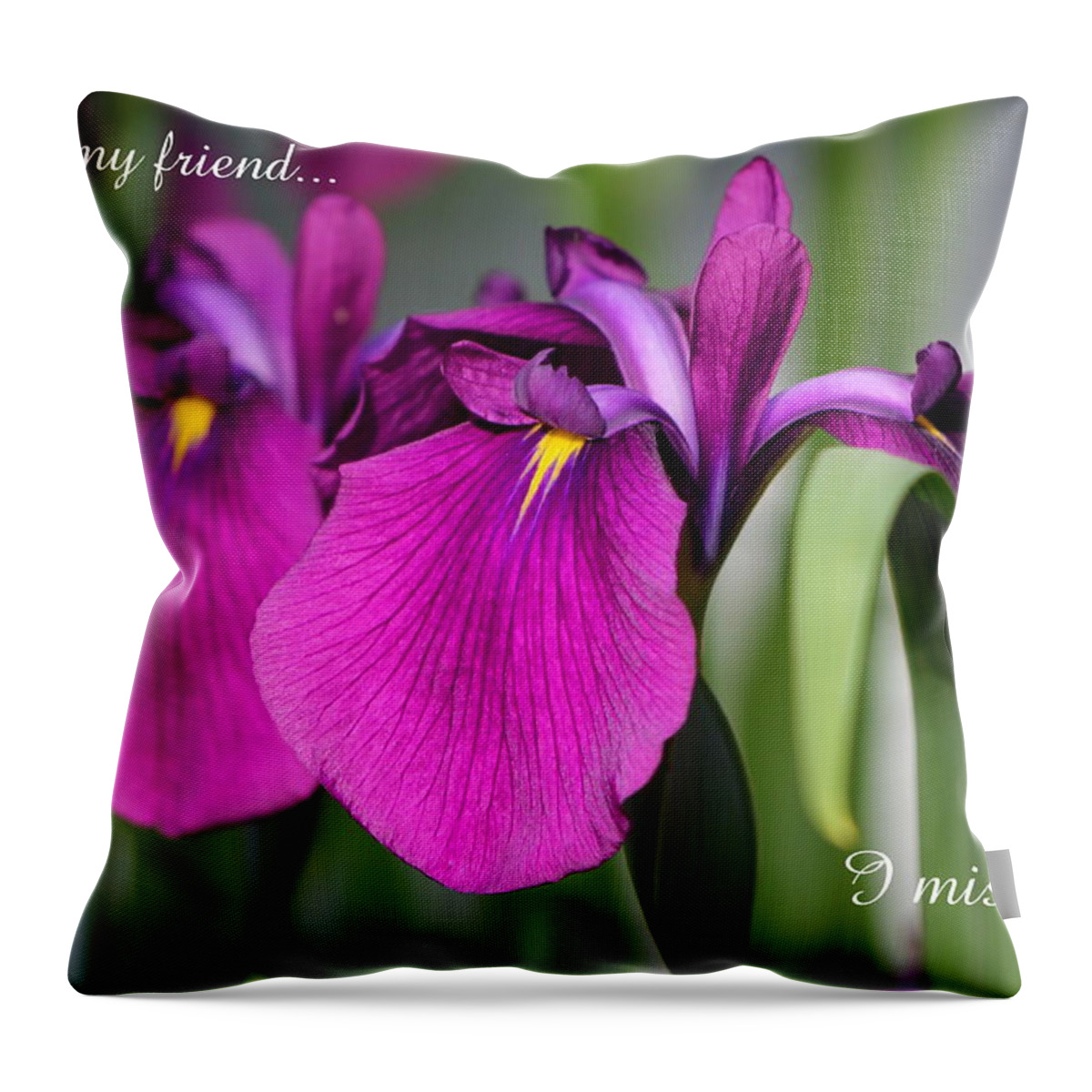 Card Throw Pillow featuring the photograph Miss You by Deborah Crew-Johnson