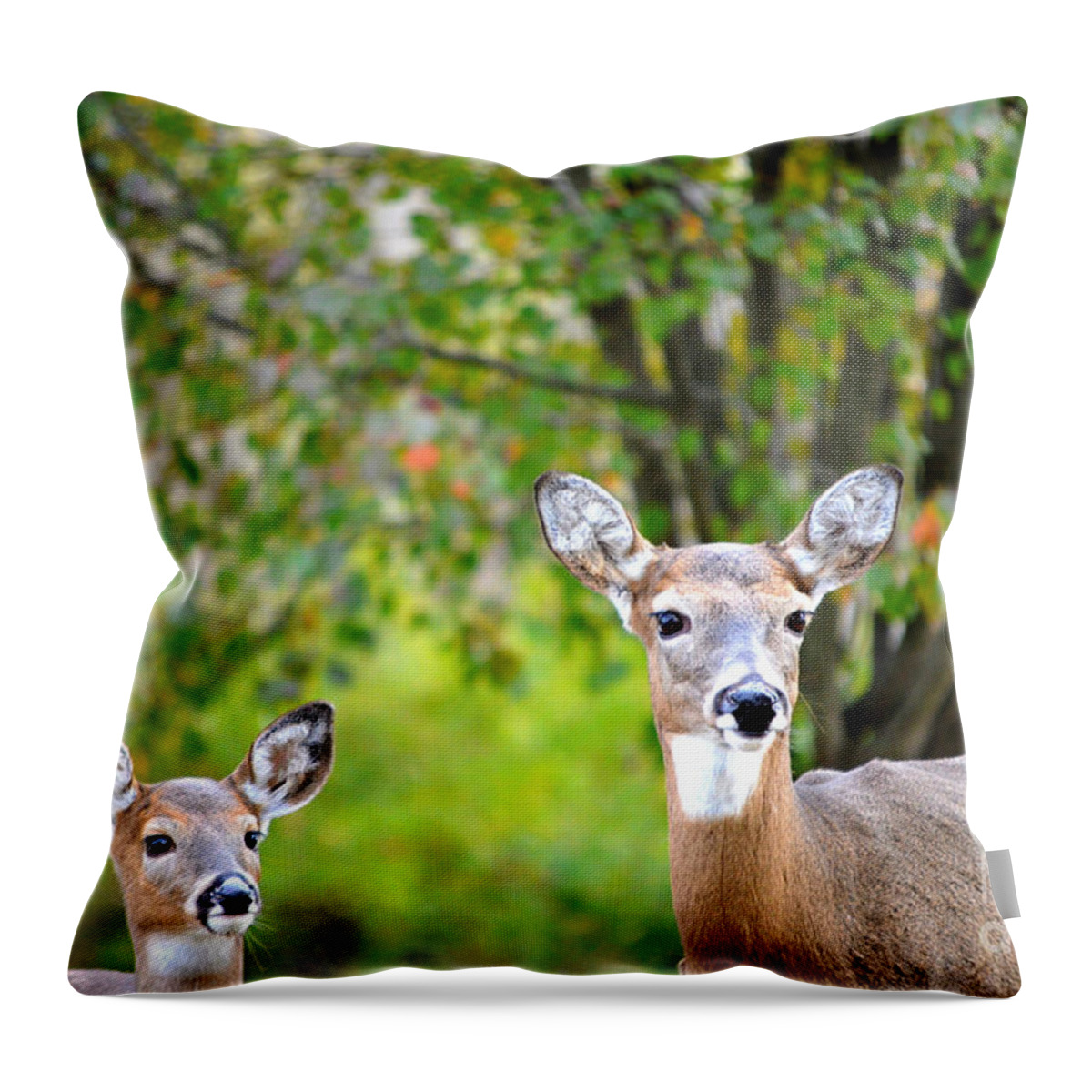 Landscape Throw Pillow featuring the photograph Mom and Baby Deer by Peggy Franz