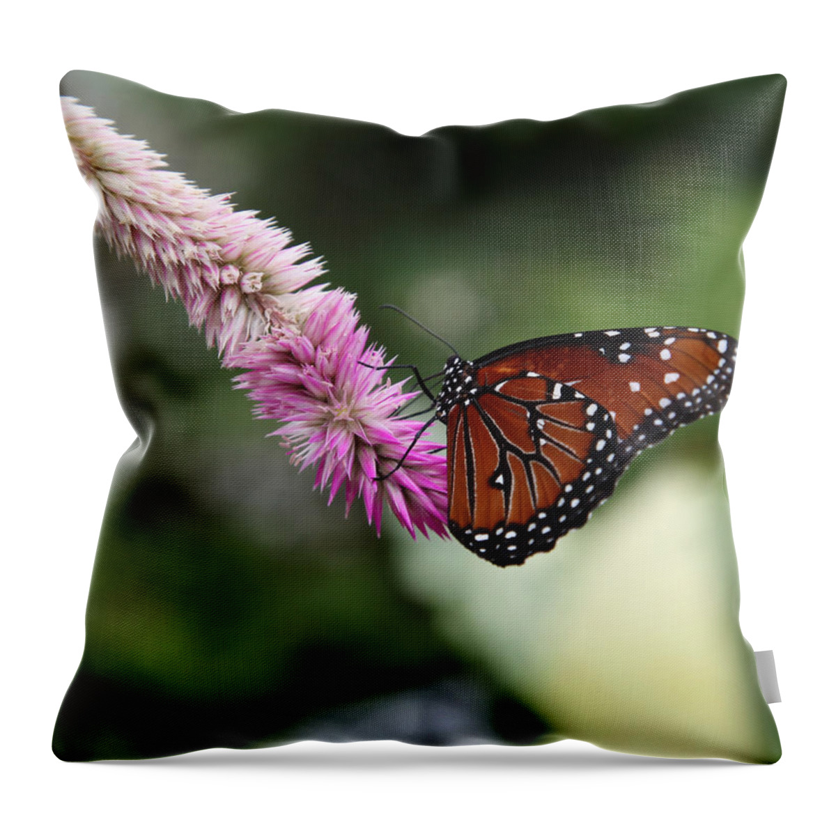 Monarch Throw Pillow featuring the photograph Monarch and Lavender by Joseph G Holland