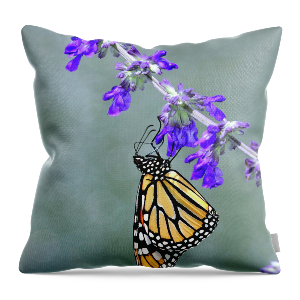 Monarch Throw Pillow featuring the photograph Monarch on Purple by Bill Dodsworth