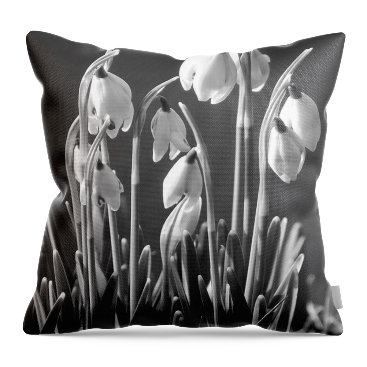 Snowdrops Throw Pillow featuring the photograph Mono Snowdrops by Lynn Bolt