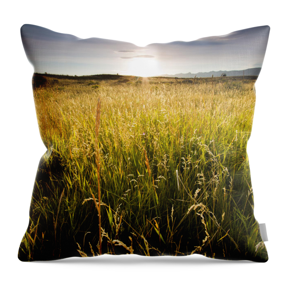 Grass Sunset Throw Pillow featuring the photograph Montana Sunset by Dustin K Ryan