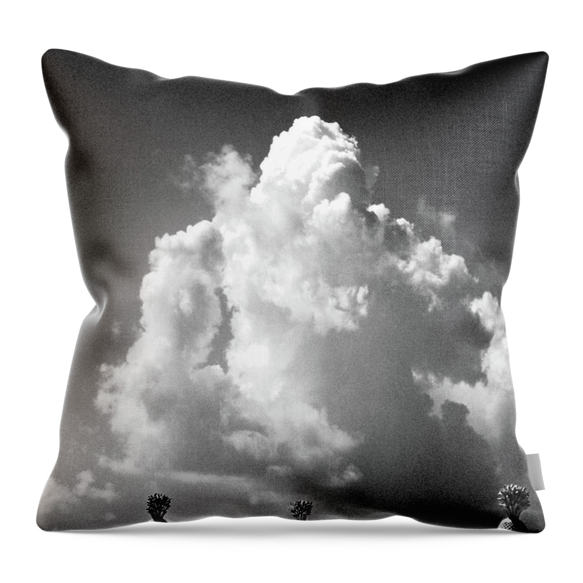 Cloud Throw Pillow featuring the photograph Monument by Lizi Beard-Ward