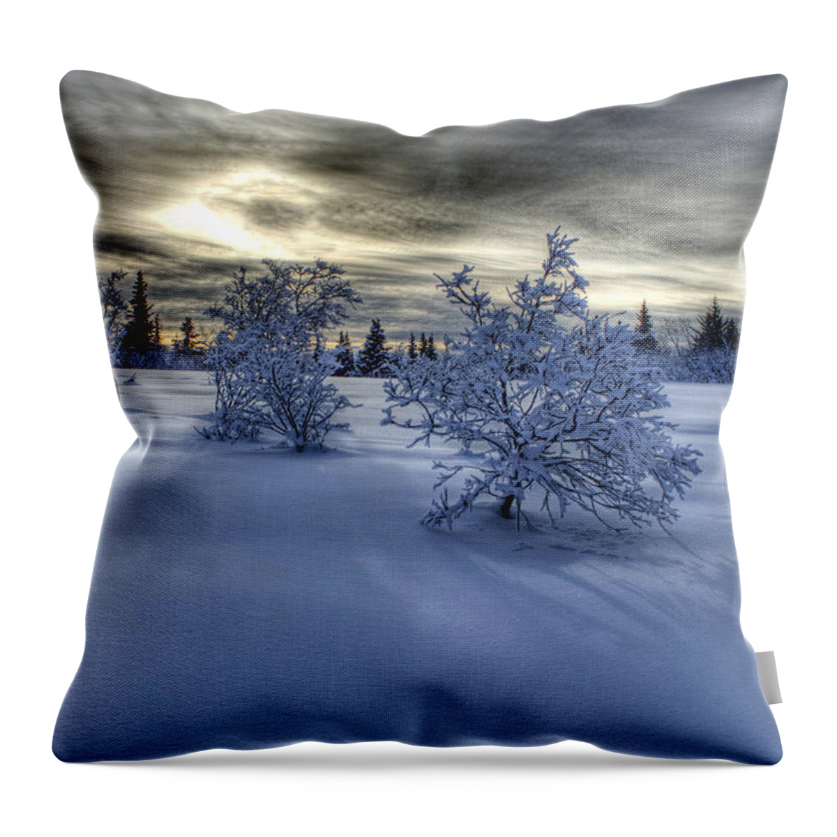 Winter Throw Pillow featuring the photograph Moody Snow Scene by Michele Cornelius