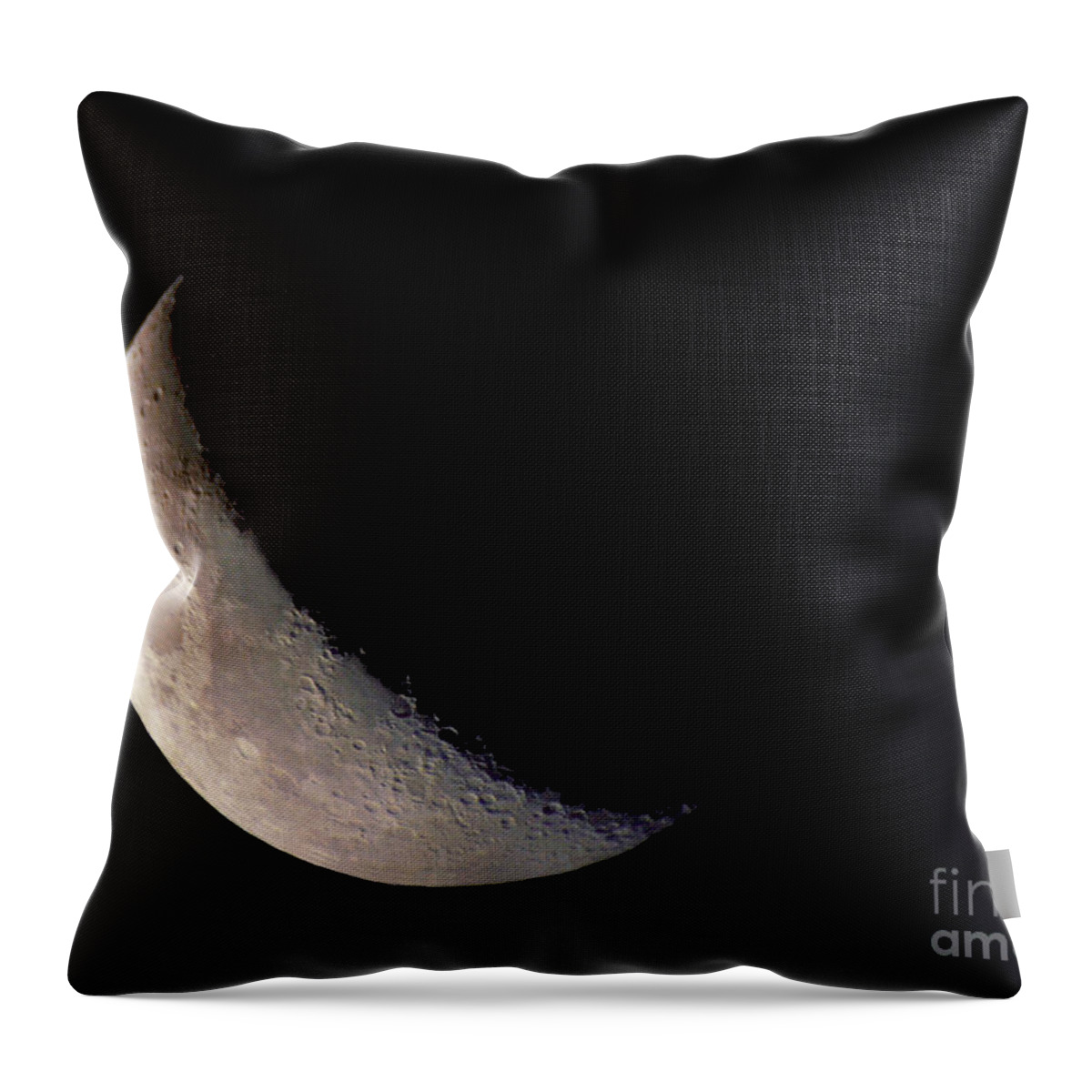 Photography Throw Pillow featuring the photograph Moon Shadow by Sue Stefanowicz