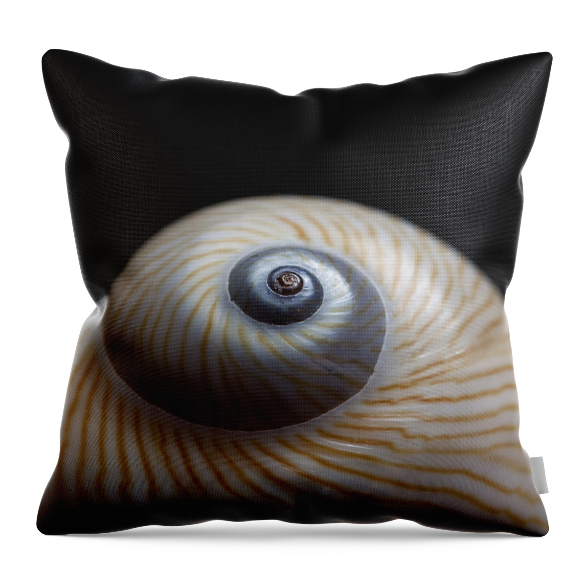 Moon Throw Pillow featuring the photograph Moon Shell by Carol Leigh