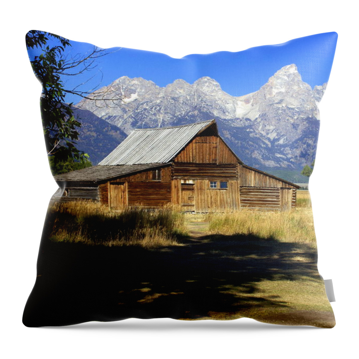 Grand Teton National Park Throw Pillow featuring the photograph Mormon Row Barn by Marty Koch