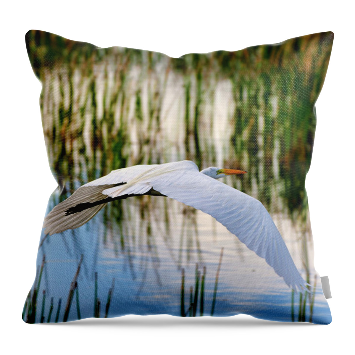 Morning Throw Pillow featuring the photograph Morning Flight by Bill Dodsworth