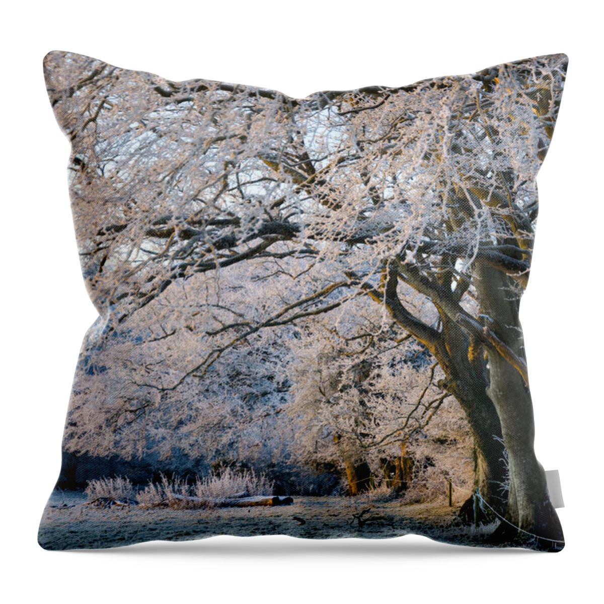 Ireland Throw Pillow featuring the photograph Morning Glory by Rob Hemphill