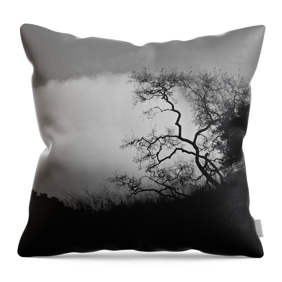 Mountains Throw Pillow featuring the photograph Morning Hike by Diana Hatcher