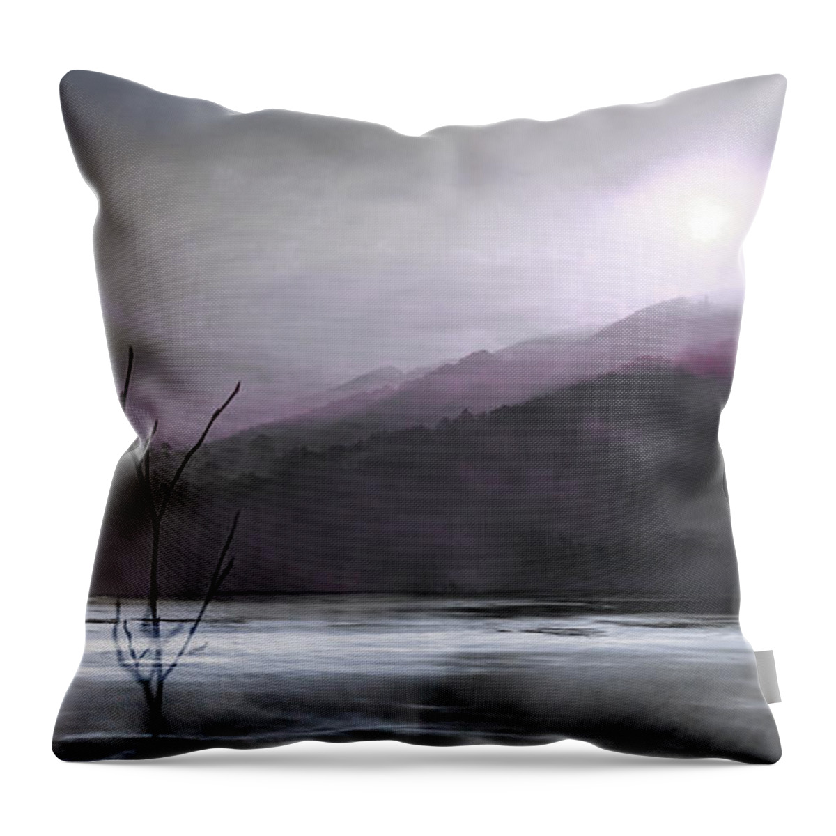 Landscape Throw Pillow featuring the photograph Morning Mist by Gray Artus