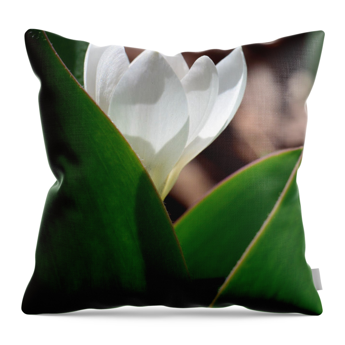 Crocus Throw Pillow featuring the photograph Morning Praise by Sandi OReilly