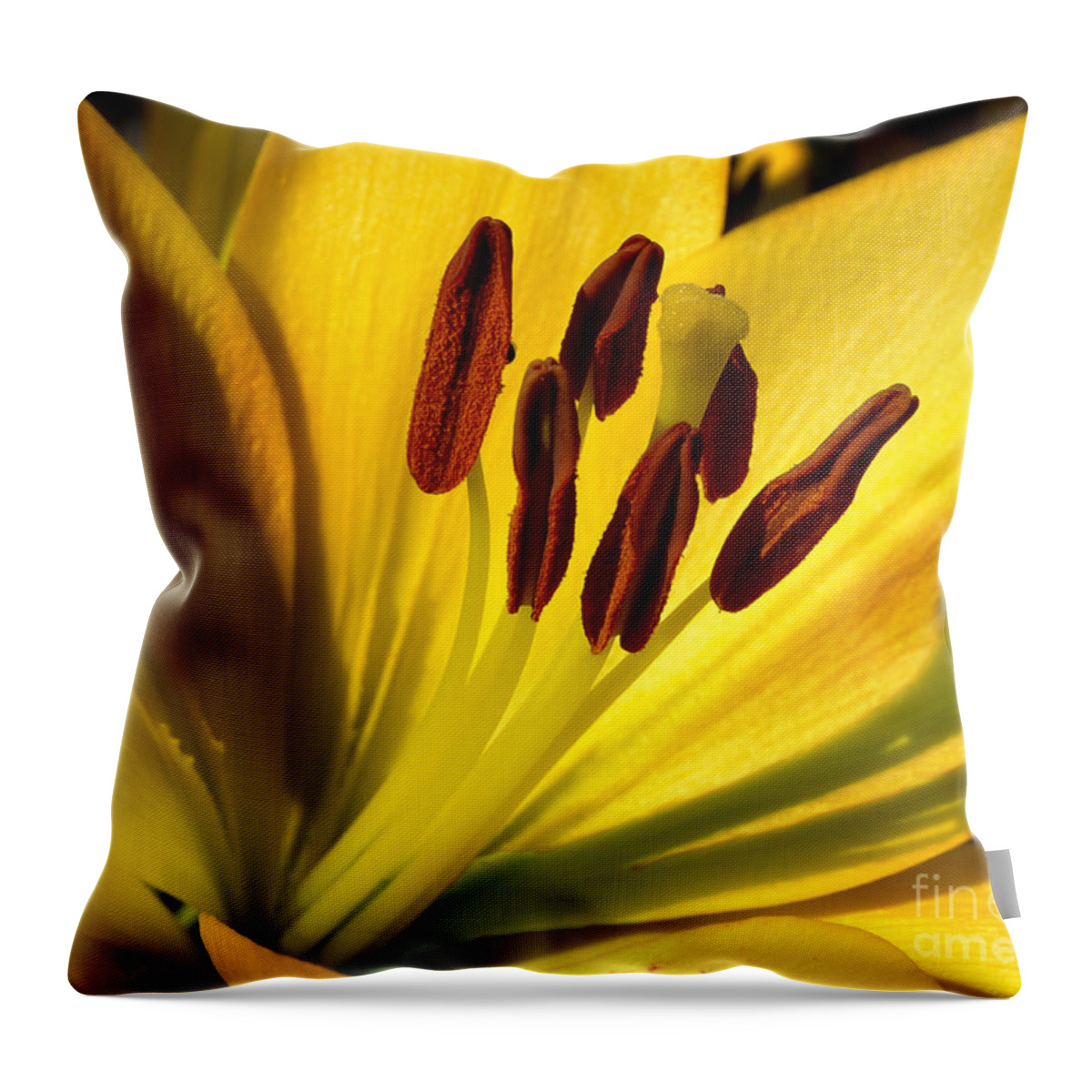 Diane Berry Throw Pillow featuring the photograph Morning Yellow by Diane E Berry
