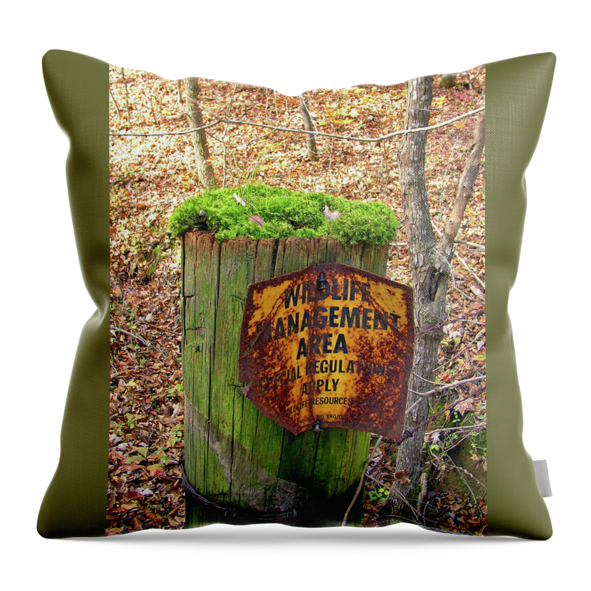 Green Throw Pillow featuring the pyrography Moss Hair by Paul Mashburn