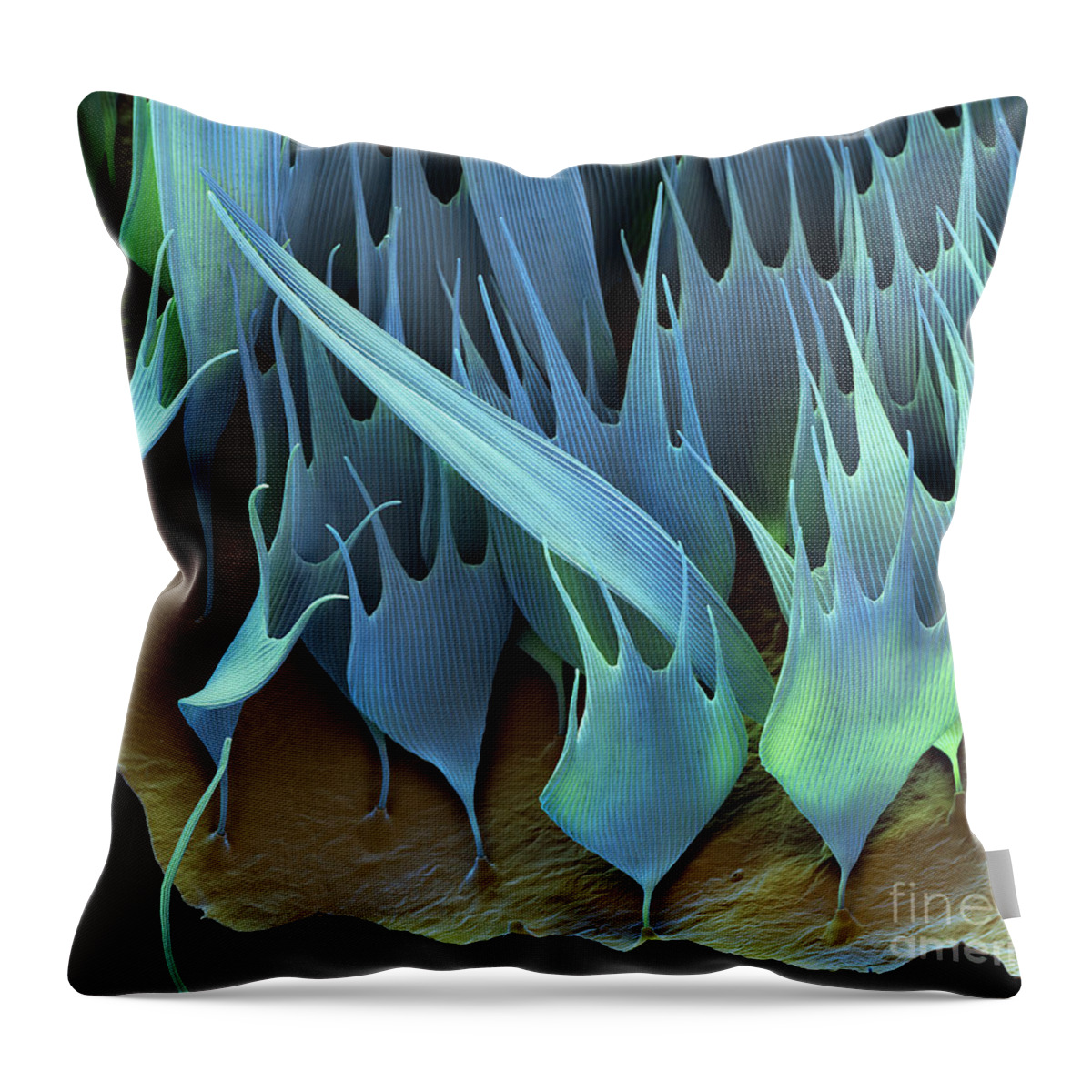 Sem Throw Pillow featuring the photograph Moth Wing Scales Sem by Eye of Science