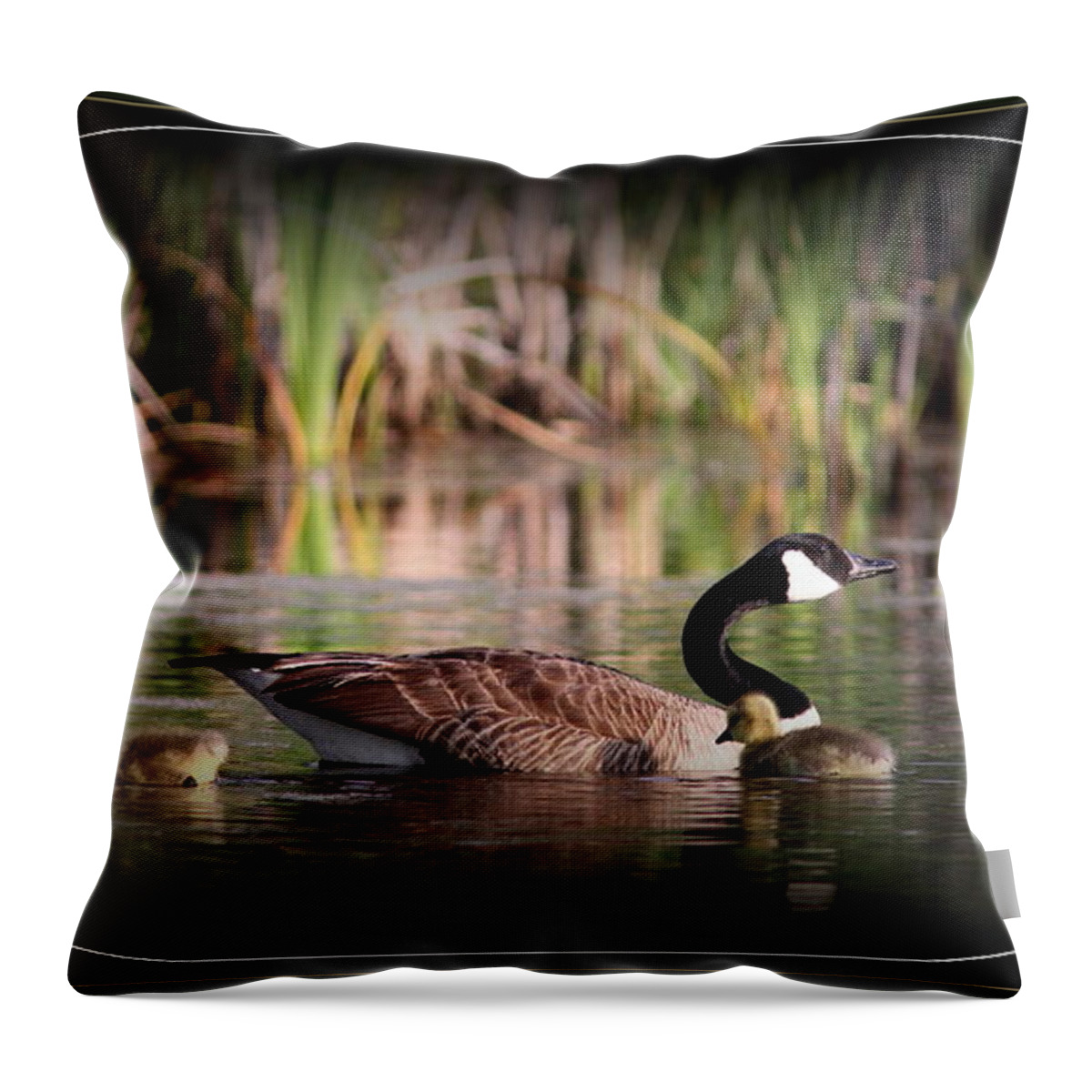 Mother Goose Throw Pillow featuring the photograph Mother Goose by Travis Truelove