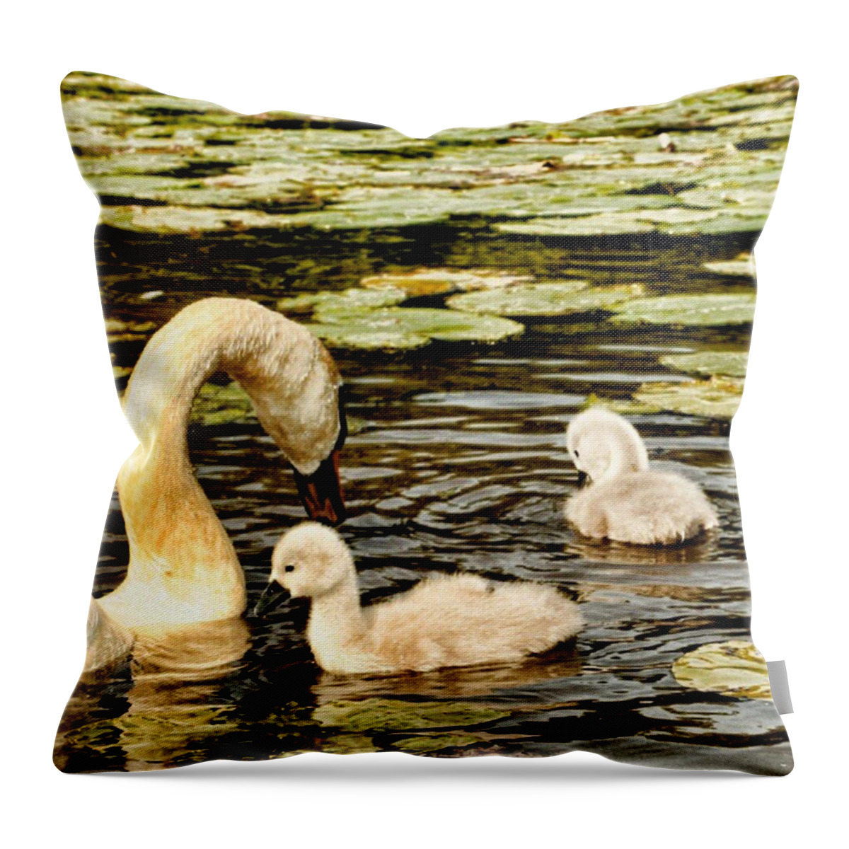 Lily Throw Pillow featuring the photograph Mothers Love by Abbie Shores