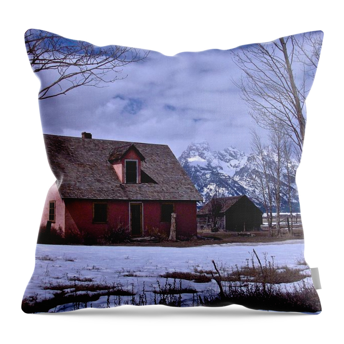 Grand Teton National Park Throw Pillow featuring the photograph Moulton's Pink House on Mormon Row by Eric Tressler
