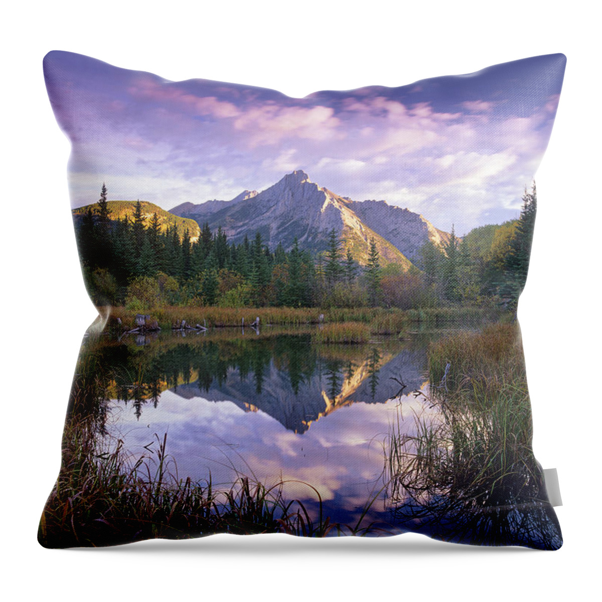 00175868 Throw Pillow featuring the photograph Mount Lorette And Spruce Trees by Tim Fitzharris