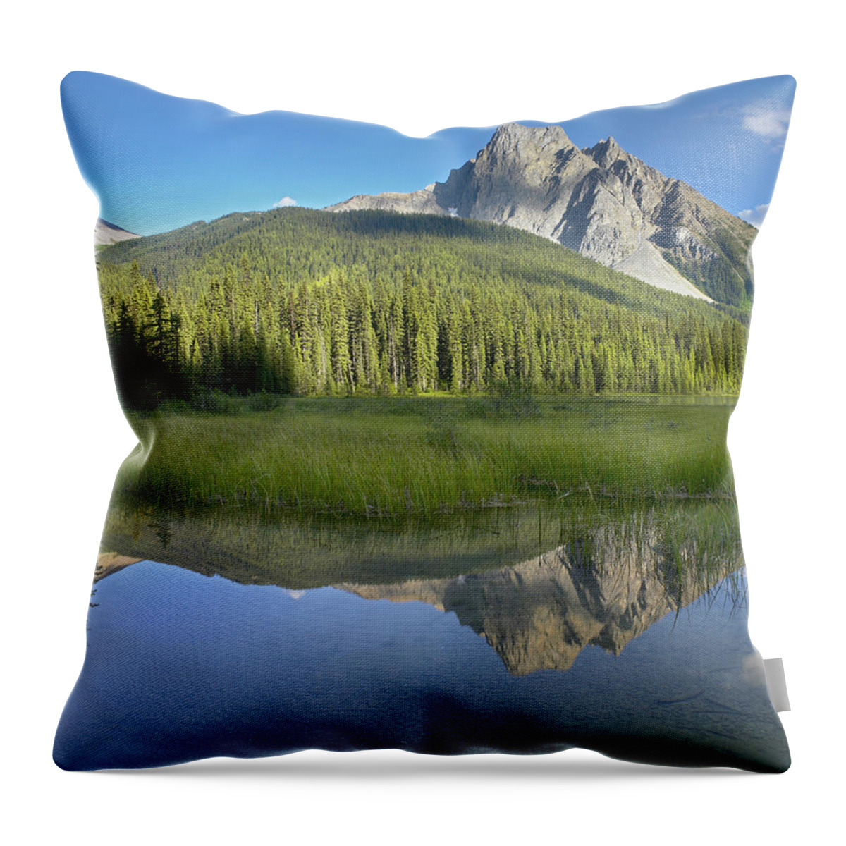 00175320 Throw Pillow featuring the photograph Mt Burgess Reflected In Emerald Lake by Tim Fitzharris