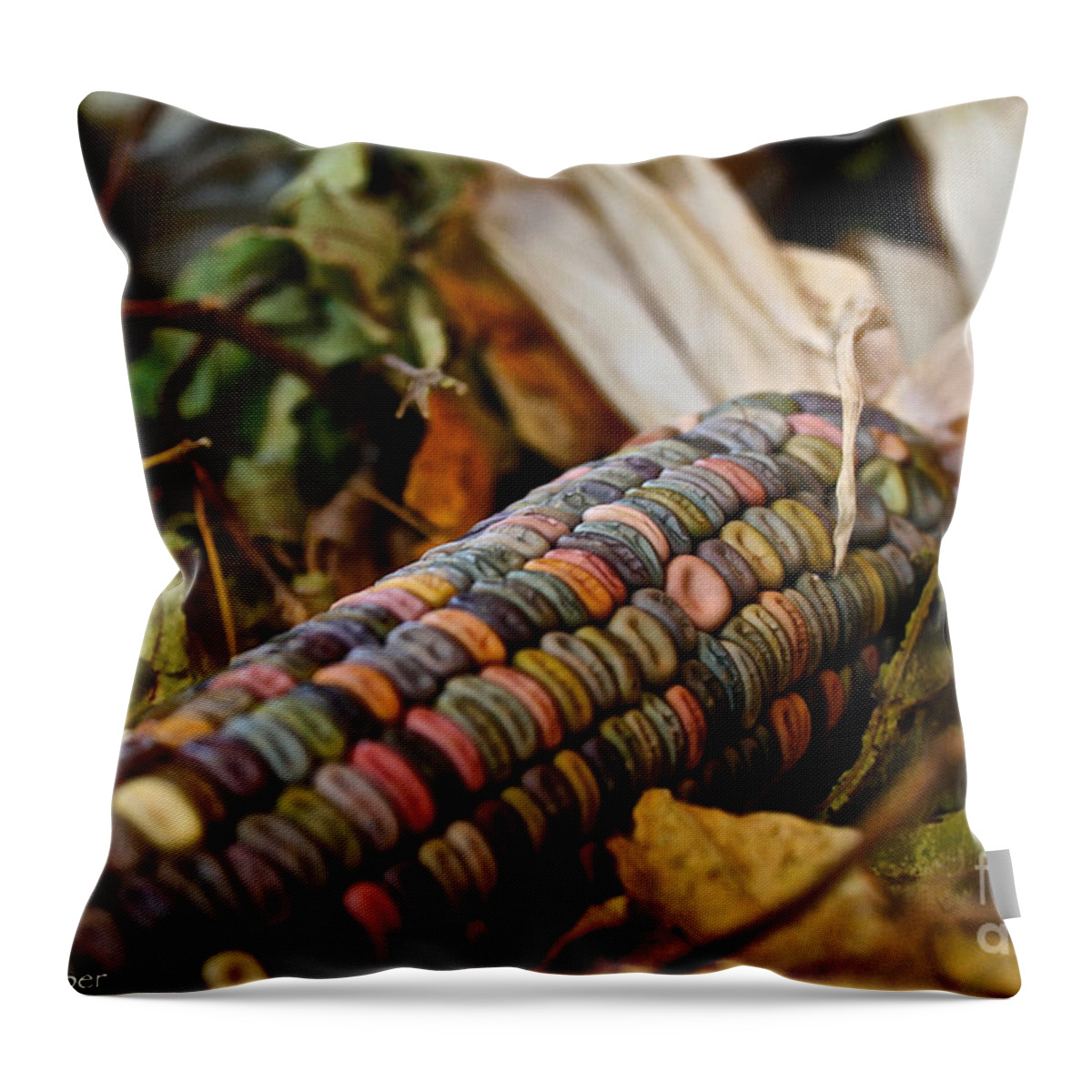 Outdoors Throw Pillow featuring the photograph Multi Colors by Susan Herber