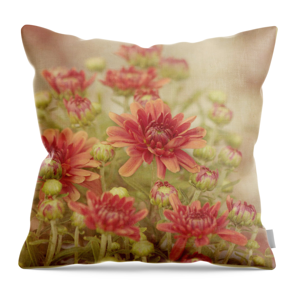 Flower Throw Pillow featuring the photograph Mums the Word by Kim Hojnacki