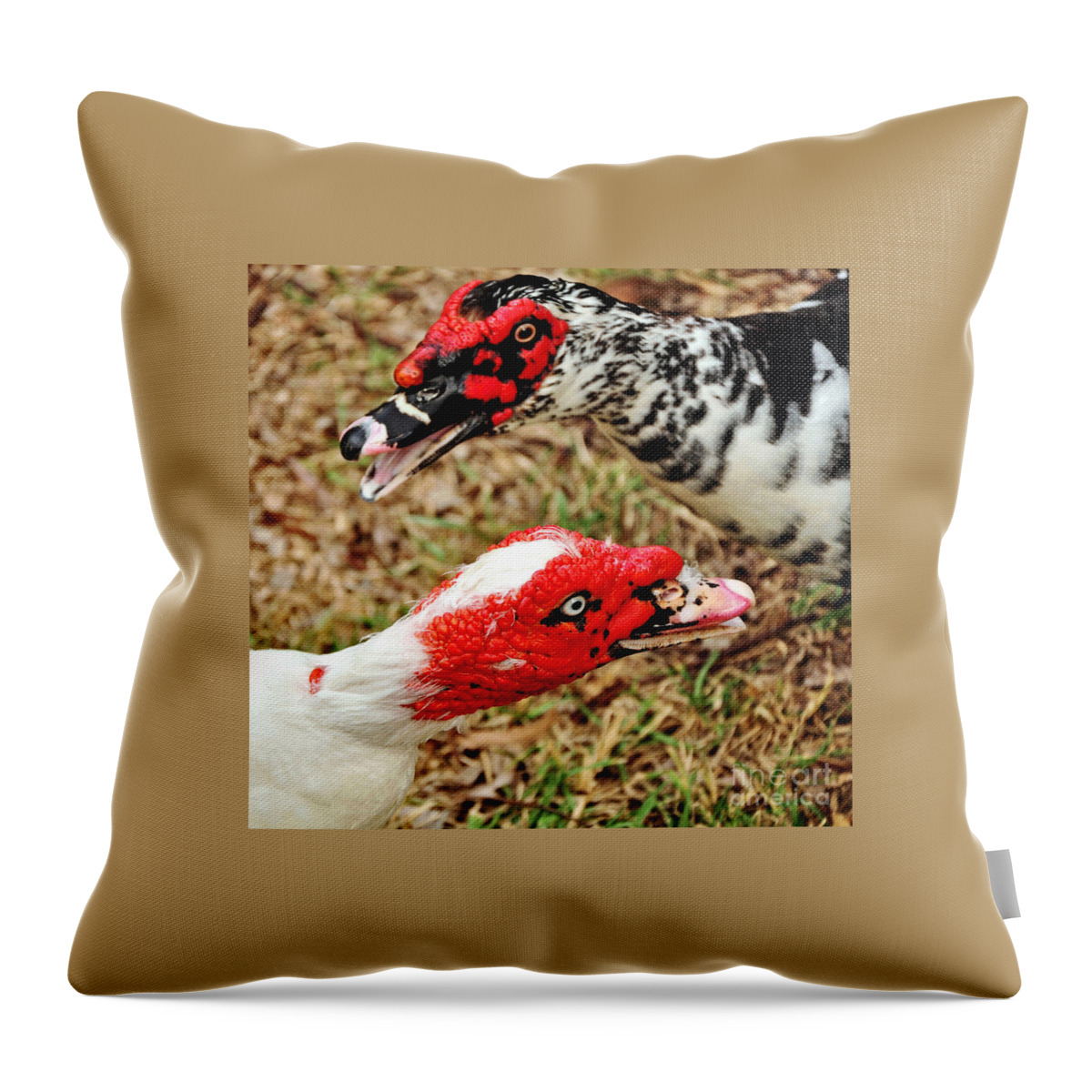 Duck Throw Pillow featuring the photograph Muscovy Ducks by Kaye Menner