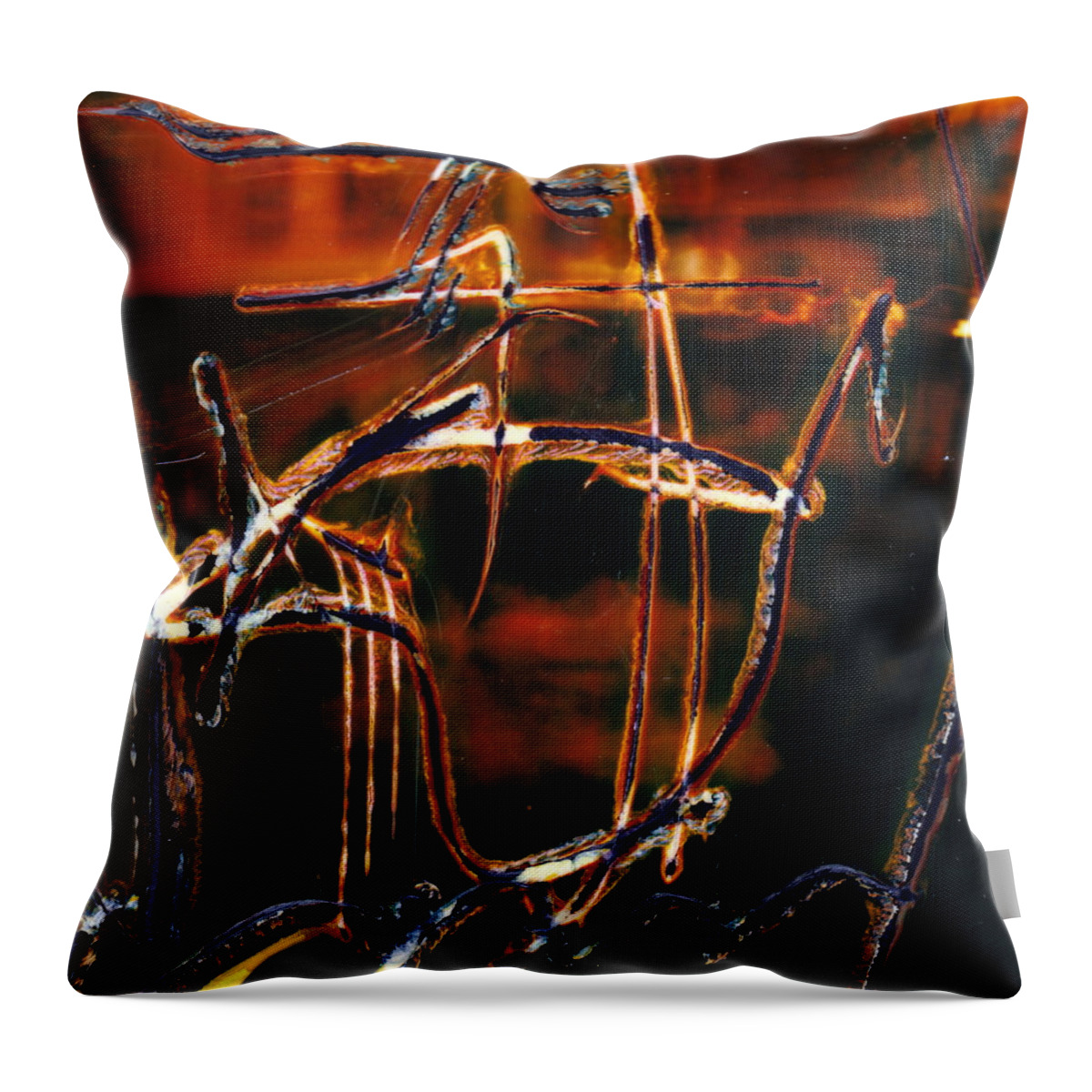 Throw Pillow featuring the photograph Musical Lift by JC Armbruster