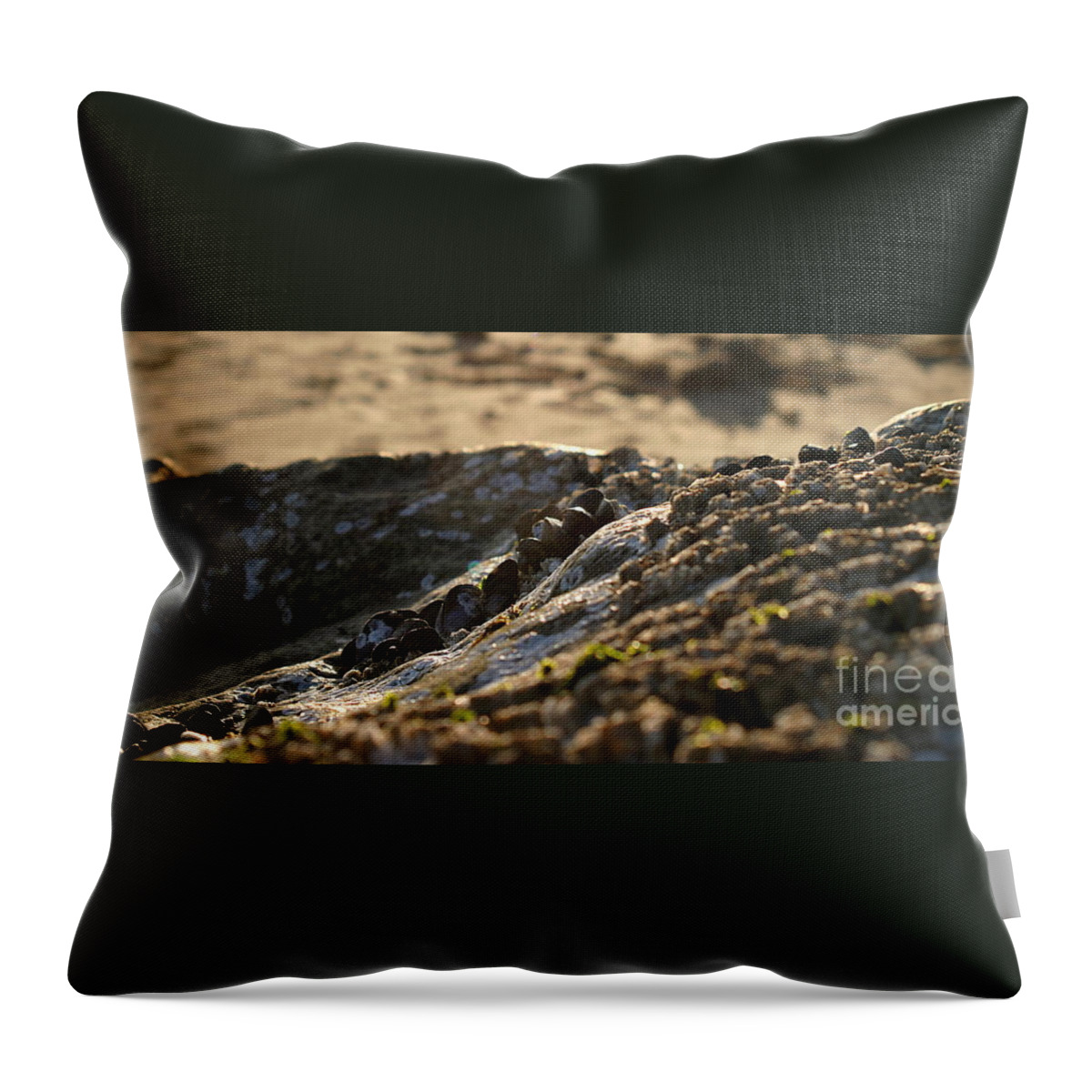 Ventura Throw Pillow featuring the photograph Mussels Sunset by Henrik Lehnerer