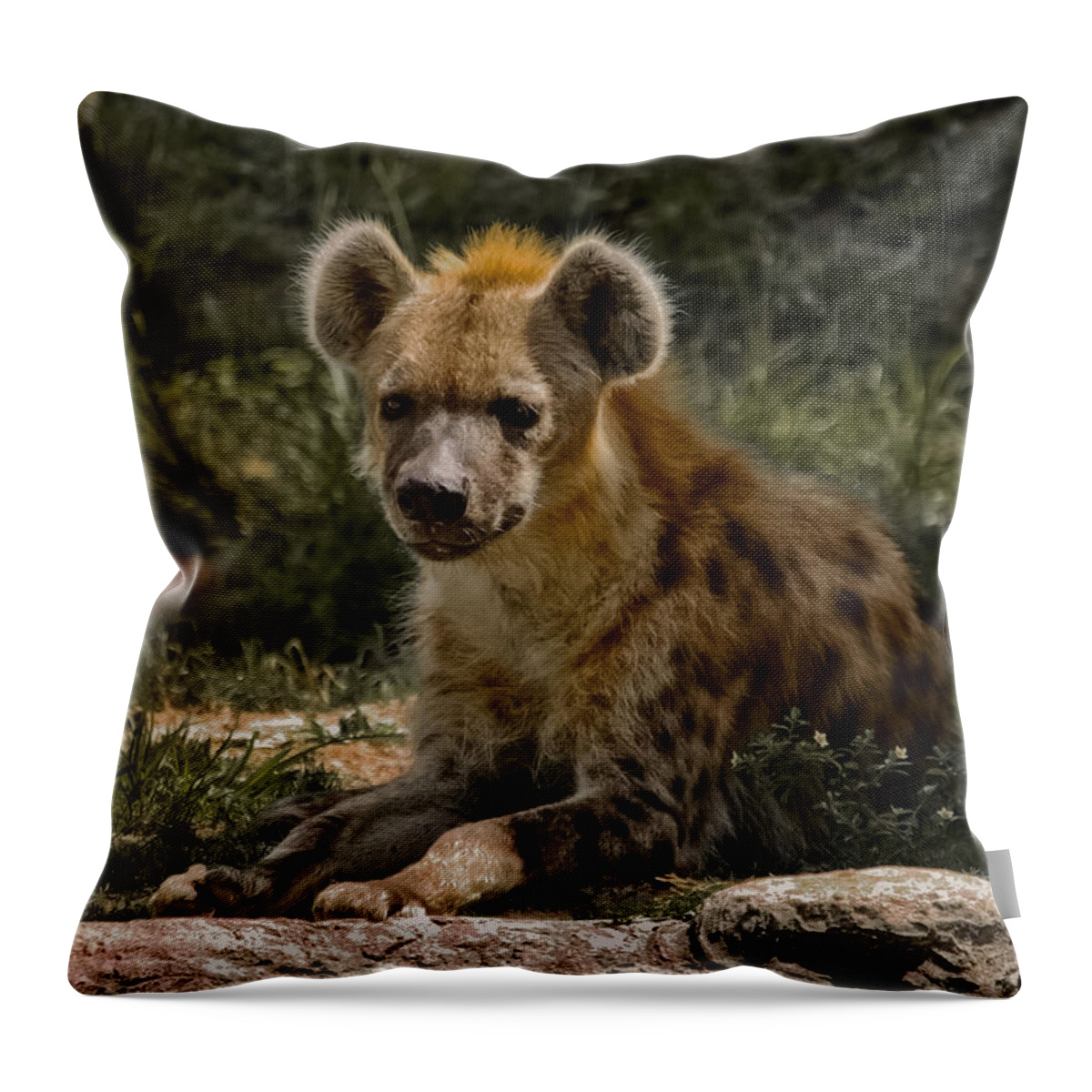 Spotted Hyena Throw Pillow featuring the photograph My Friends Call Me Spike by DigiArt Diaries by Vicky B Fuller