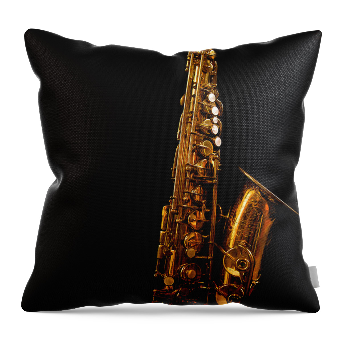 Jean Noren Throw Pillow featuring the photograph Portrait of My Old Sax by Jean Noren
