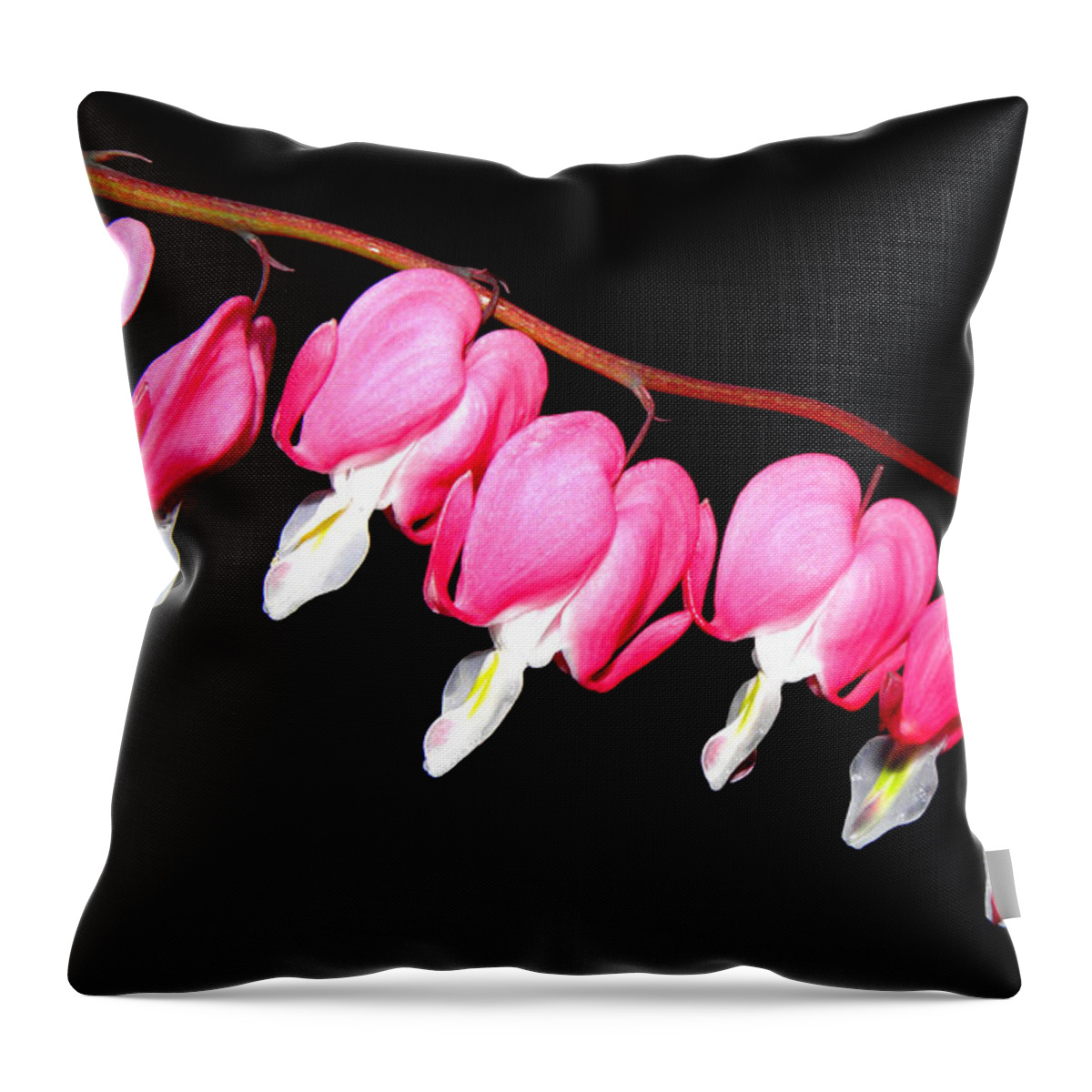 Pink Bleeding Hearts Throw Pillow featuring the photograph My Pink Hearts Trail by Kim Galluzzo