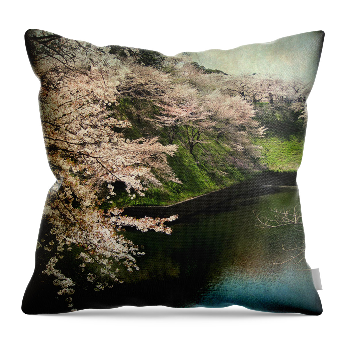 Sakura Throw Pillow featuring the photograph My Spring by Eena Bo