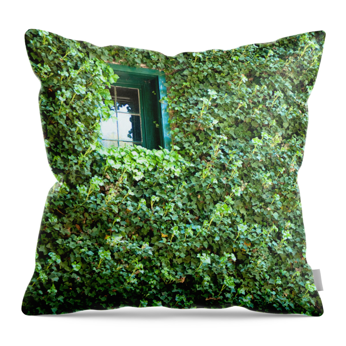 Napa Throw Pillow featuring the photograph Napa Wine Cellar Window by Shane Kelly