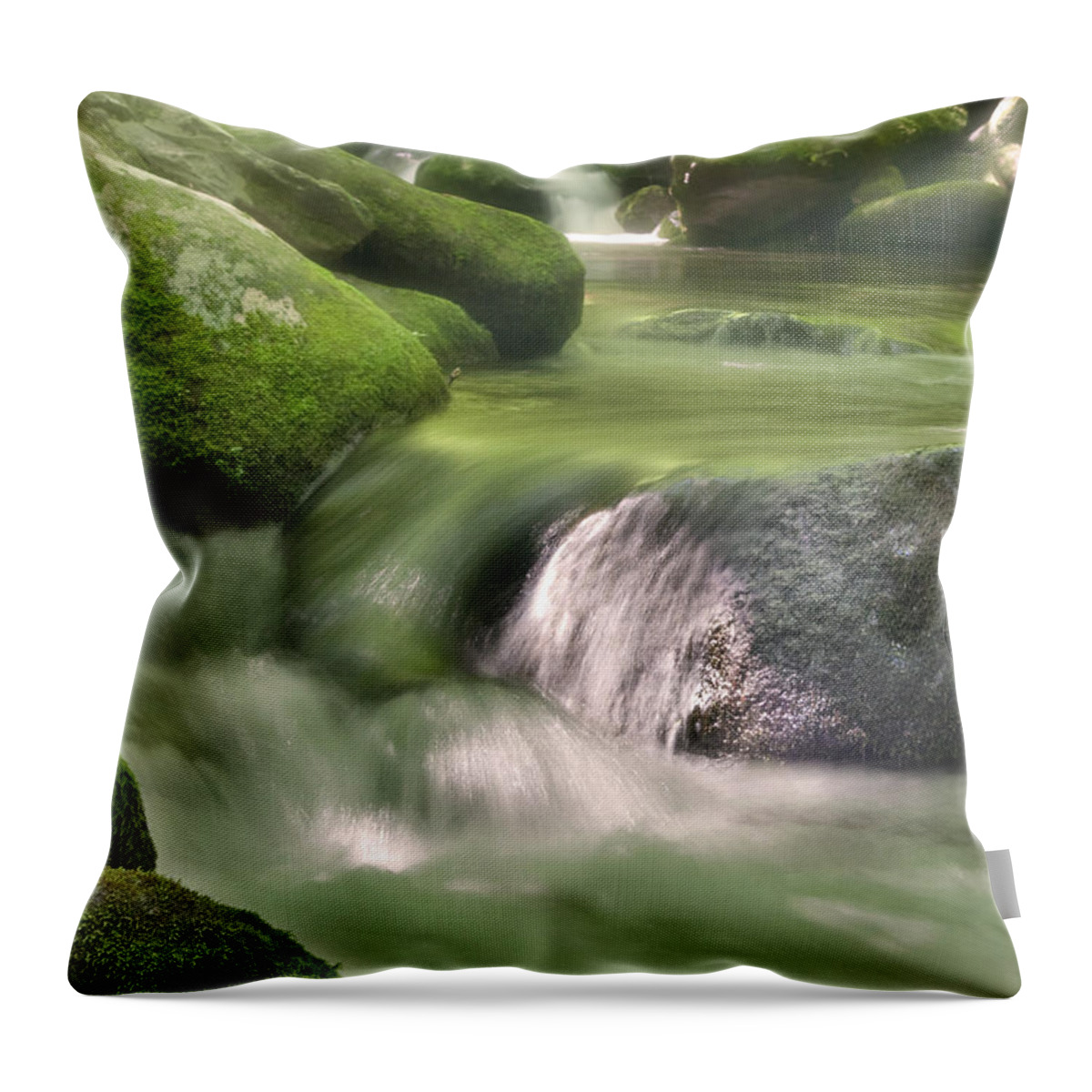 Gatlinburg Throw Pillow featuring the photograph Natural Beauty by Cindy Haggerty