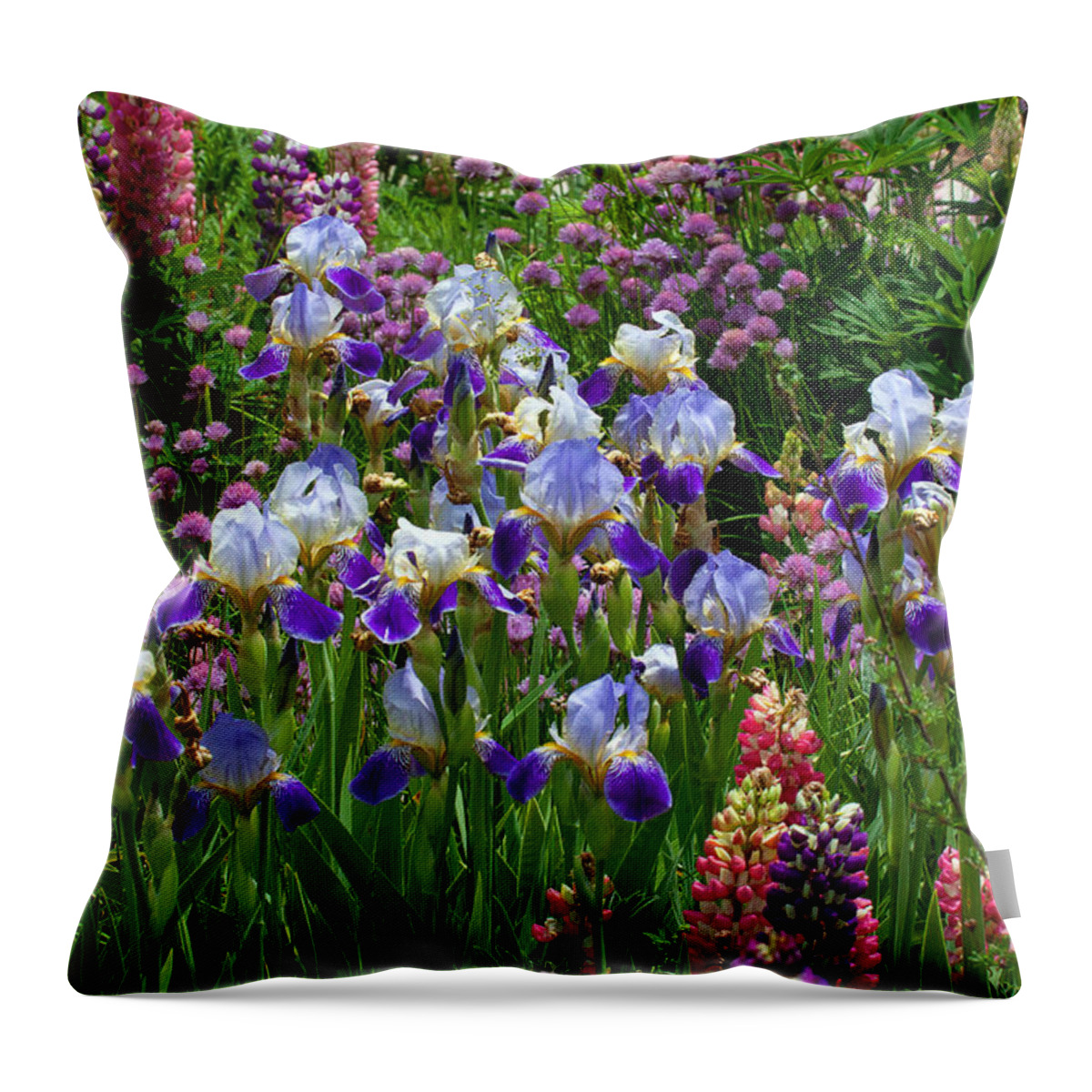 Flowers Photograph; Lupine Canvas Print Throw Pillow featuring the photograph Natures Bouquet by Jim Garrison