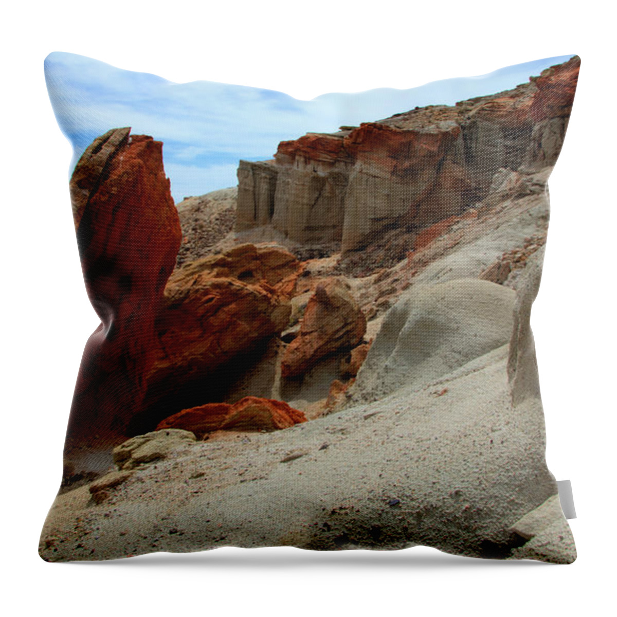 Nature Throw Pillow featuring the photograph Natures Palette by Bob Christopher