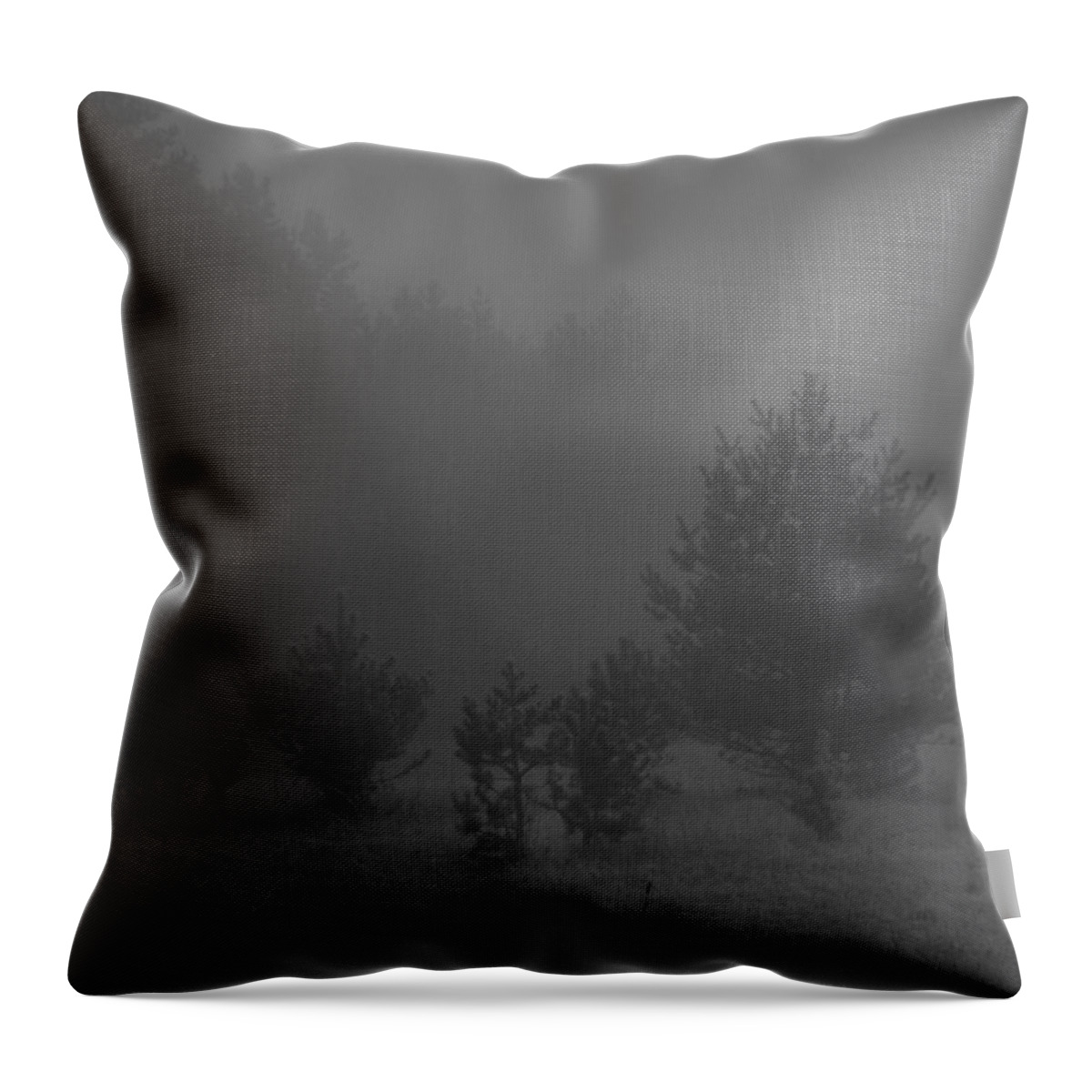 Fog Throw Pillow featuring the photograph Nebelbild 12 - Fog Image 12 by Mimulux Patricia No