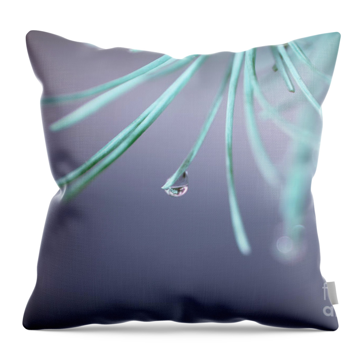 Blue Throw Pillow featuring the photograph Neigerelle - 01a by Variance Collections