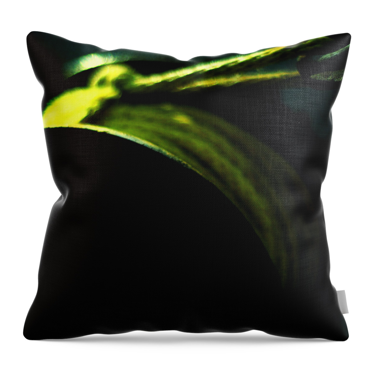 Conceptual Throw Pillow featuring the photograph New Moon by Rebecca Sherman